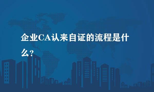 企业CA认来自证的流程是什么？