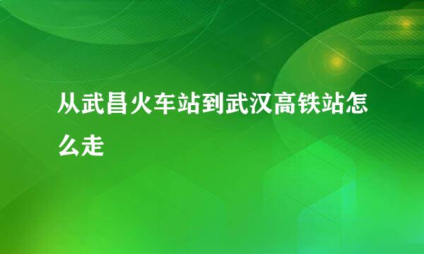 从武昌火车站到武汉高铁站怎么走