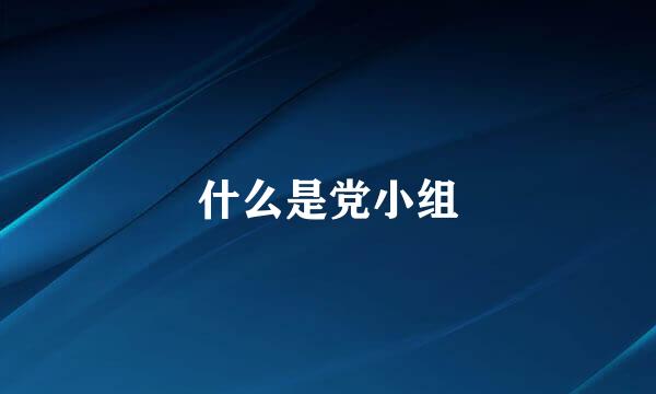 什么是党小组