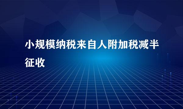 小规模纳税来自人附加税减半征收