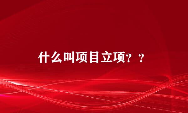 什么叫项目立项？？