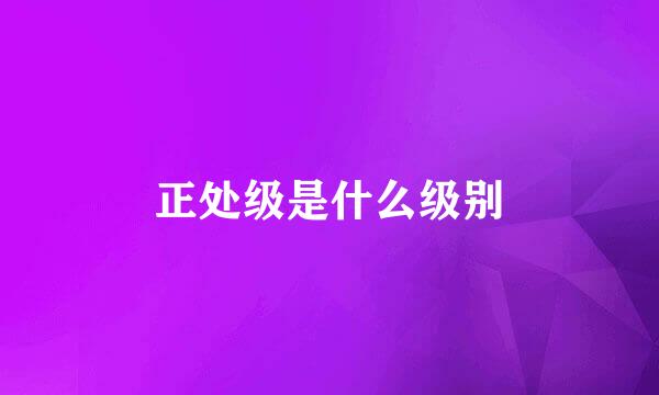 正处级是什么级别