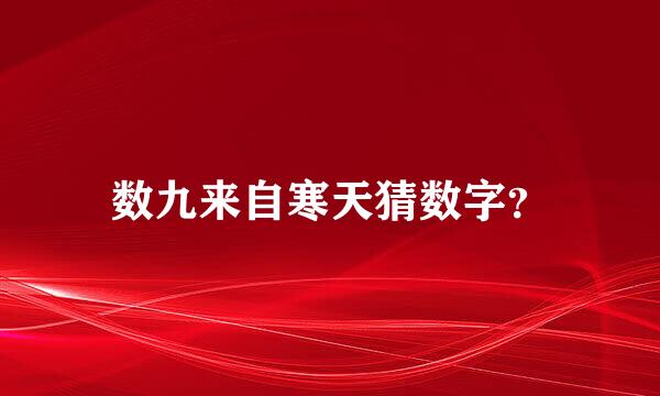 数九来自寒天猜数字？