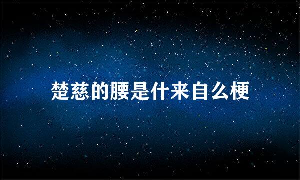 楚慈的腰是什来自么梗