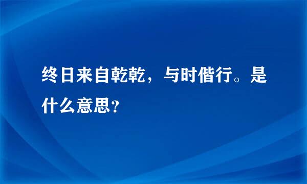 终日来自乾乾，与时偕行。是什么意思？