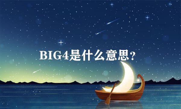 BIG4是什么意思？