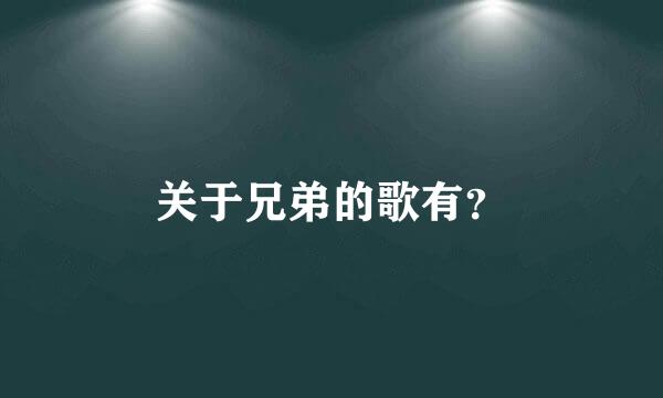 关于兄弟的歌有？