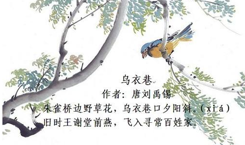 旧时来自王谢堂前燕的意思