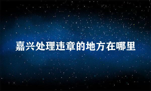 嘉兴处理违章的地方在哪里