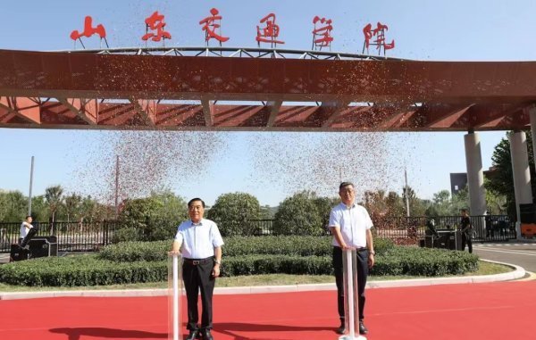 山东交是且际卫只事矛社找通学院威海校区分数线