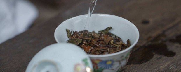 白茶杨亲等势适合什么人喝