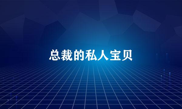 总裁的私人宝贝