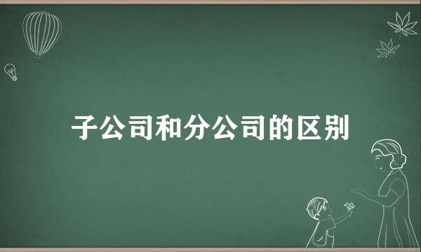 子公司和分公司的区别