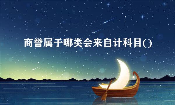 商誉属于哪类会来自计科目()