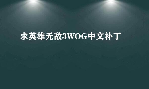 求英雄无敌3WOG中文补丁