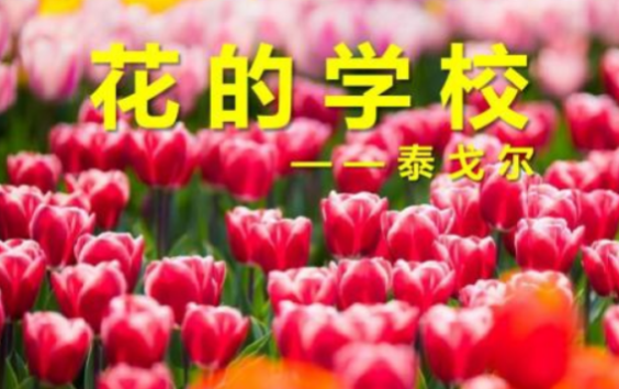 为什么说雨一来他来自们便放假了？