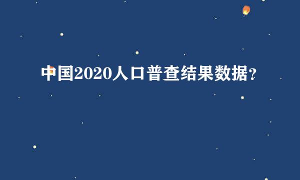 中国2020人口普查结果数据？