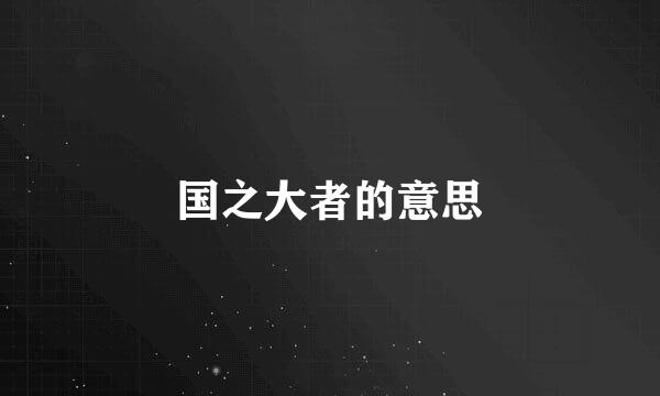 国之大者的意思