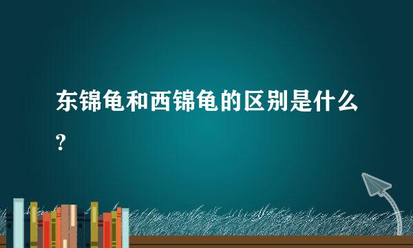 东锦龟和西锦龟的区别是什么?