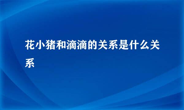 花小猪和滴滴的关系是什么关系
