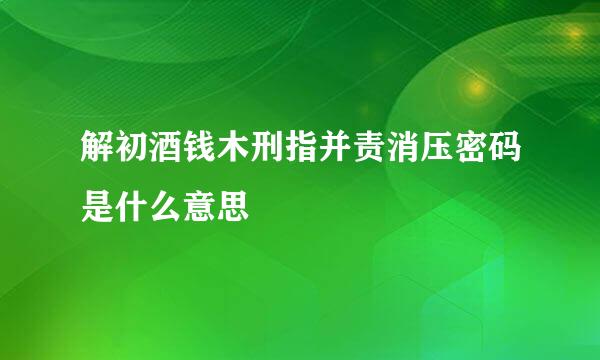解初酒钱木刑指并责消压密码是什么意思