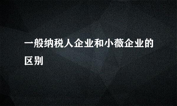 一般纳税人企业和小薇企业的区别