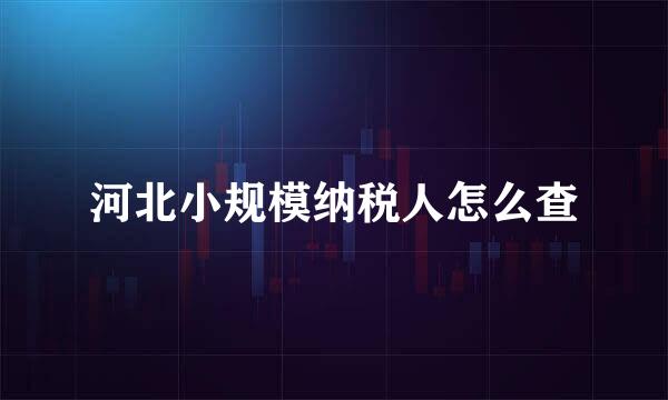 河北小规模纳税人怎么查
