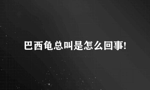 巴西龟总叫是怎么回事!