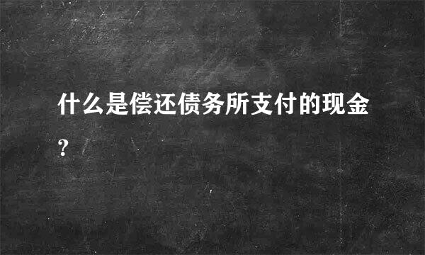 什么是偿还债务所支付的现金？