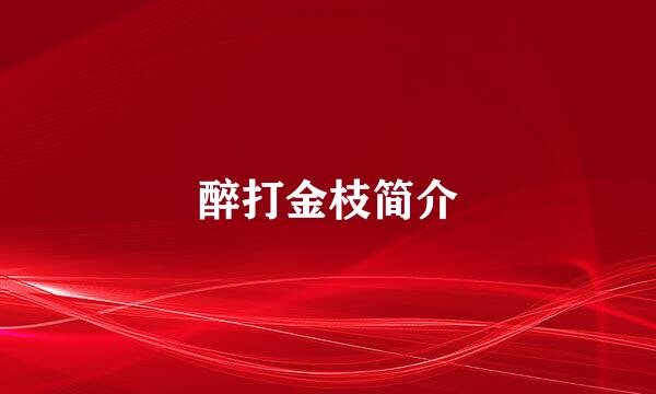 醉打金枝简介