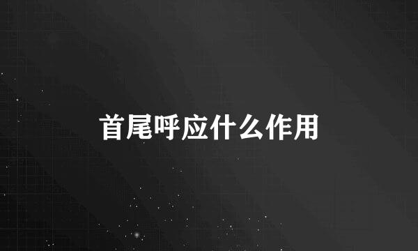 首尾呼应什么作用