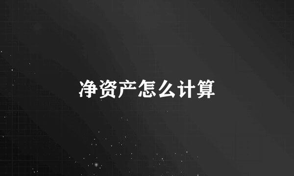 净资产怎么计算