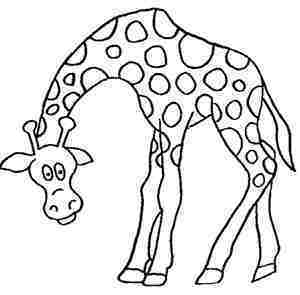 那个是怎样画长颈鹿简笔画