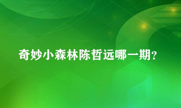 奇妙小森林陈哲远哪一期？