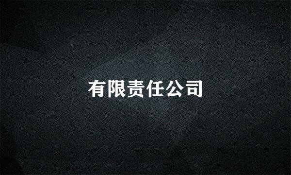 有限责任公司