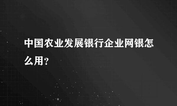 中国农业发展银行企业网银怎么用？
