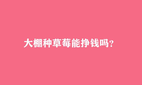 大棚种草莓能挣钱吗？