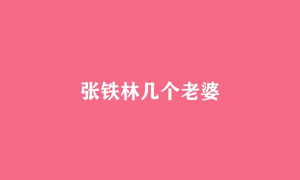 张铁林几个老婆