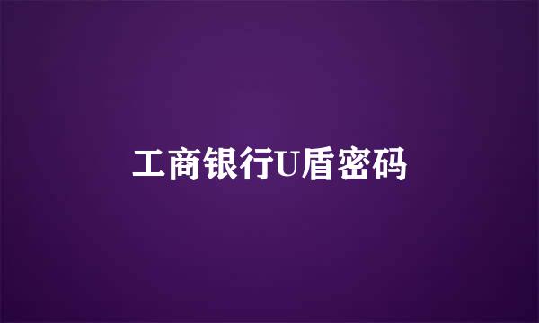 工商银行U盾密码