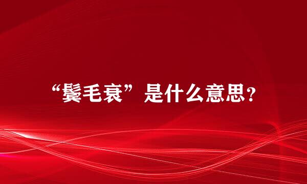 “鬓毛衰”是什么意思？