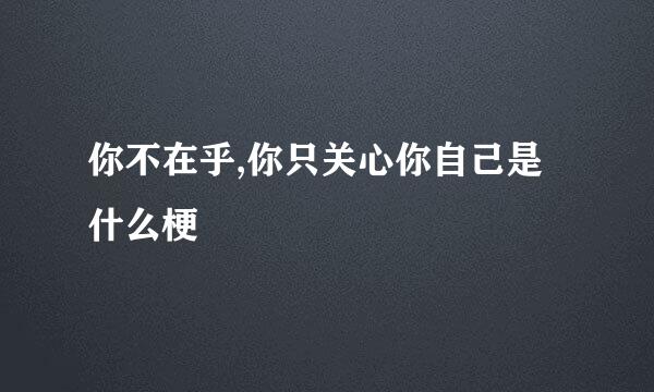 你不在乎,你只关心你自己是什么梗
