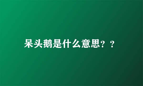 呆头鹅是什么意思？？
