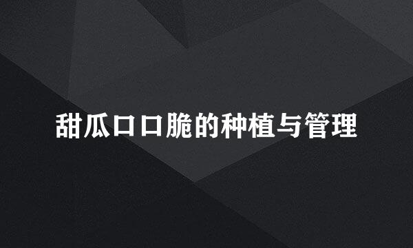 甜瓜口口脆的种植与管理