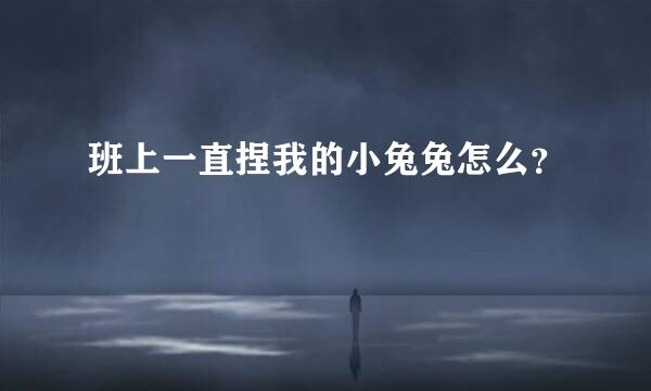 班上一直捏我的小兔兔怎么？