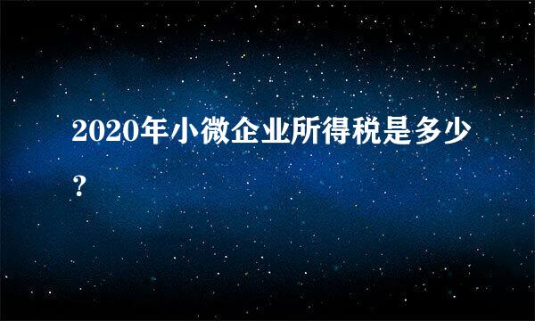 2020年小微企业所得税是多少？