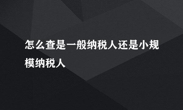 怎么查是一般纳税人还是小规模纳税人
