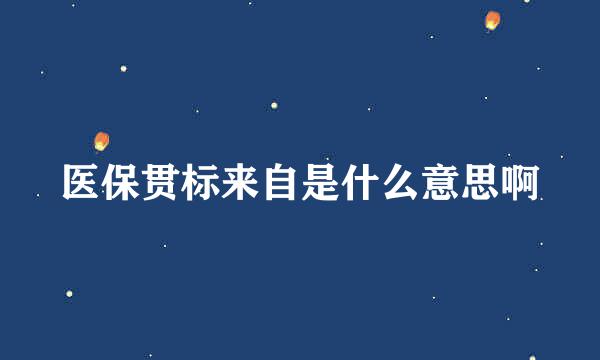 医保贯标来自是什么意思啊