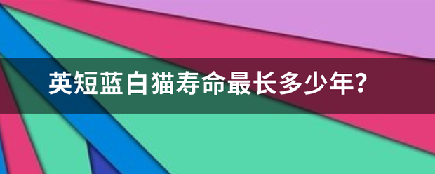 英短蓝白猫寿命最长多少年？