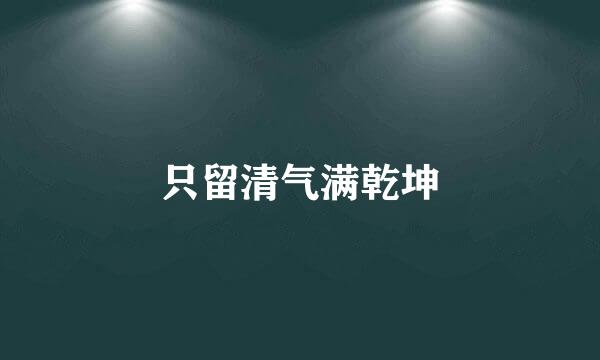 只留清气满乾坤