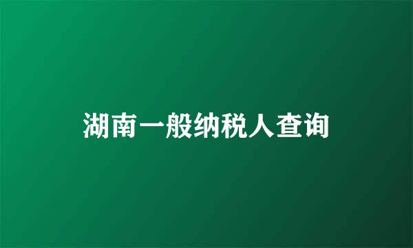 湖南一般纳税人查询